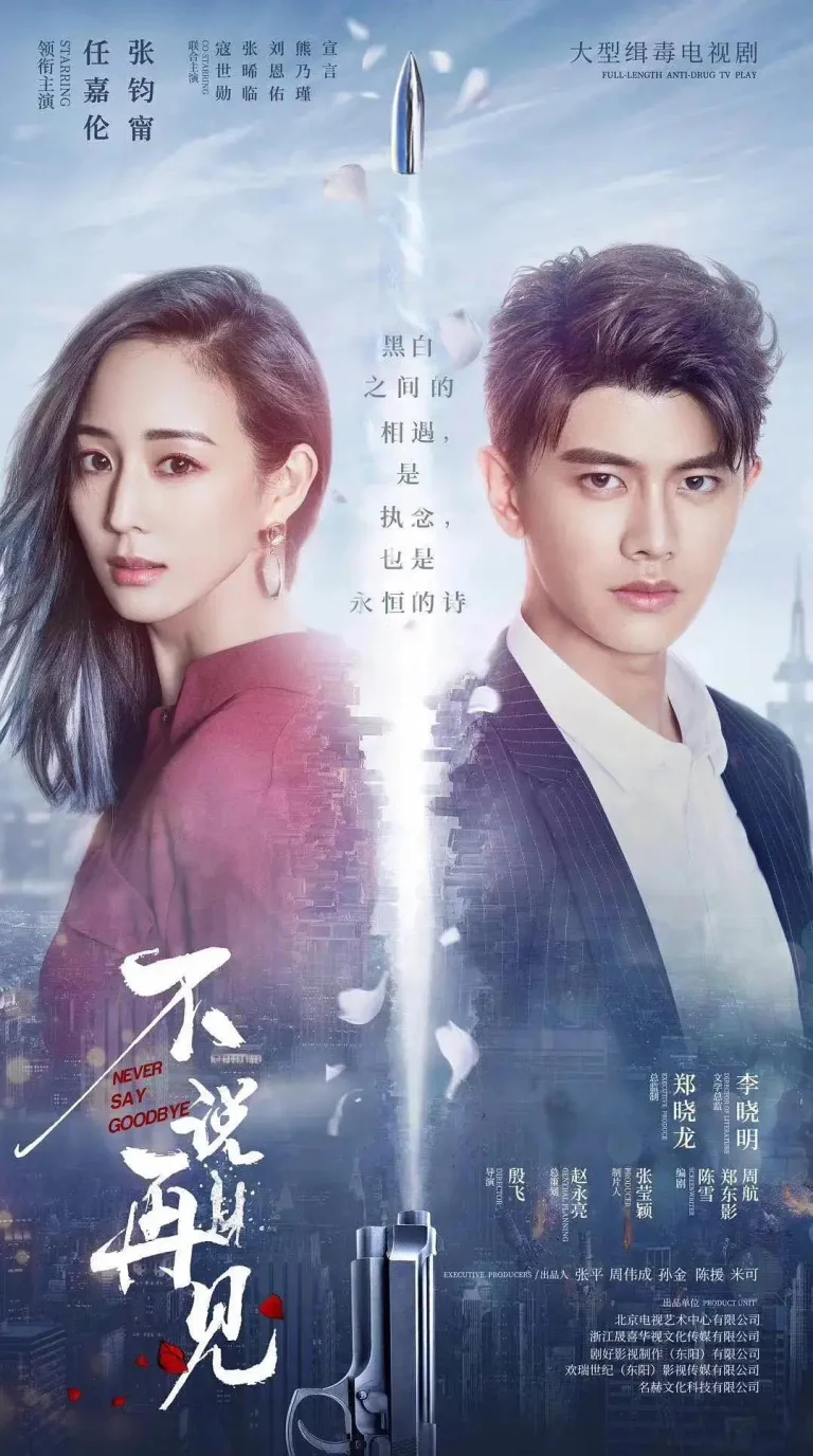 《不说再见》全集高清完整版在线观看与剧情解析