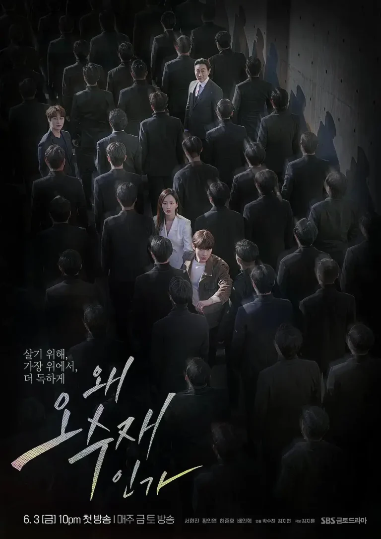 《为何是吴秀在》全集高清完整版在线观看与剧情解析