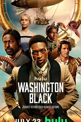 《华盛顿·布莱克》全集高清完整版在线观看与剧情解析