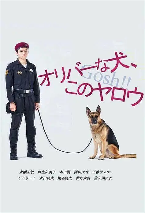 《奥莉佛是狗，（天哪！！）这家伙》全集高清完整版在线观看与剧情解析