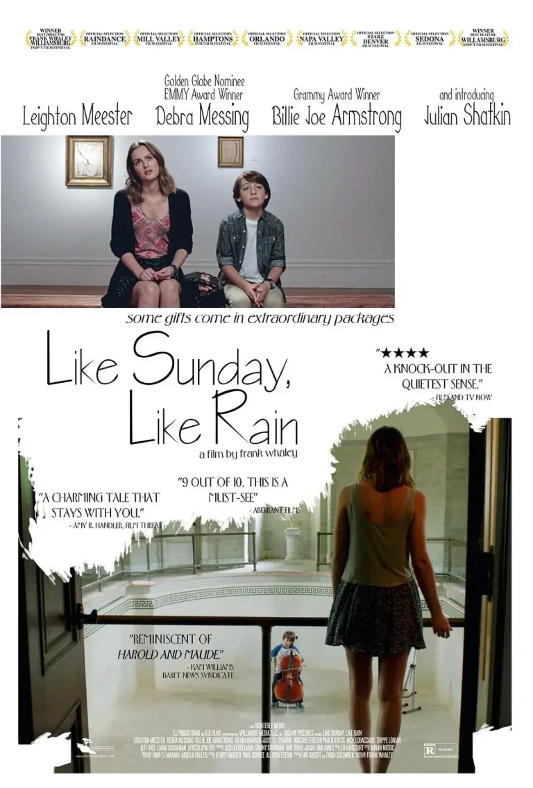 《如晴天，似雨天》全集高清完整版在线观看与剧情解析