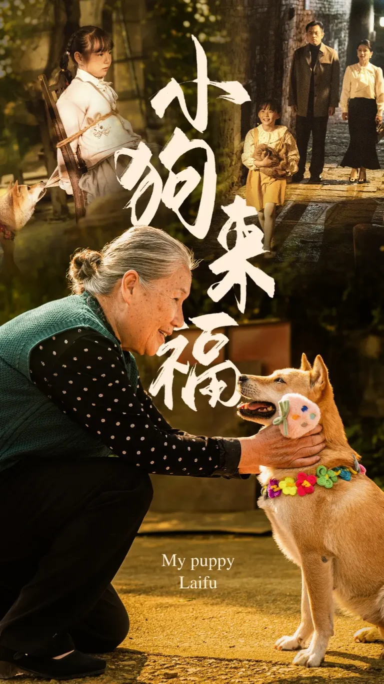 《小狗来福》全集高清完整版在线观看与剧情解析