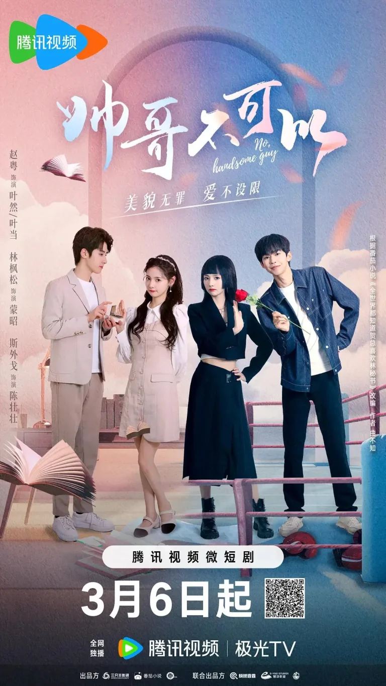 《帅哥不可以》全集高清完整版在线观看与剧情解析