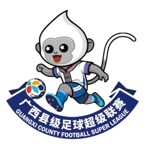 广西县级足球超级联赛 来宾市武宣县队0-1柳州市融水苗族自治县队20260328
