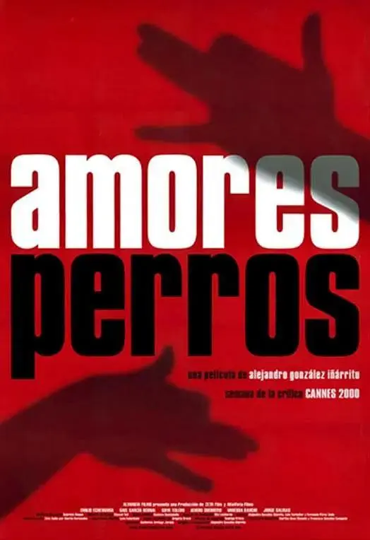 《爱情是狗娘》全集高清完整版在线观看与剧情解析