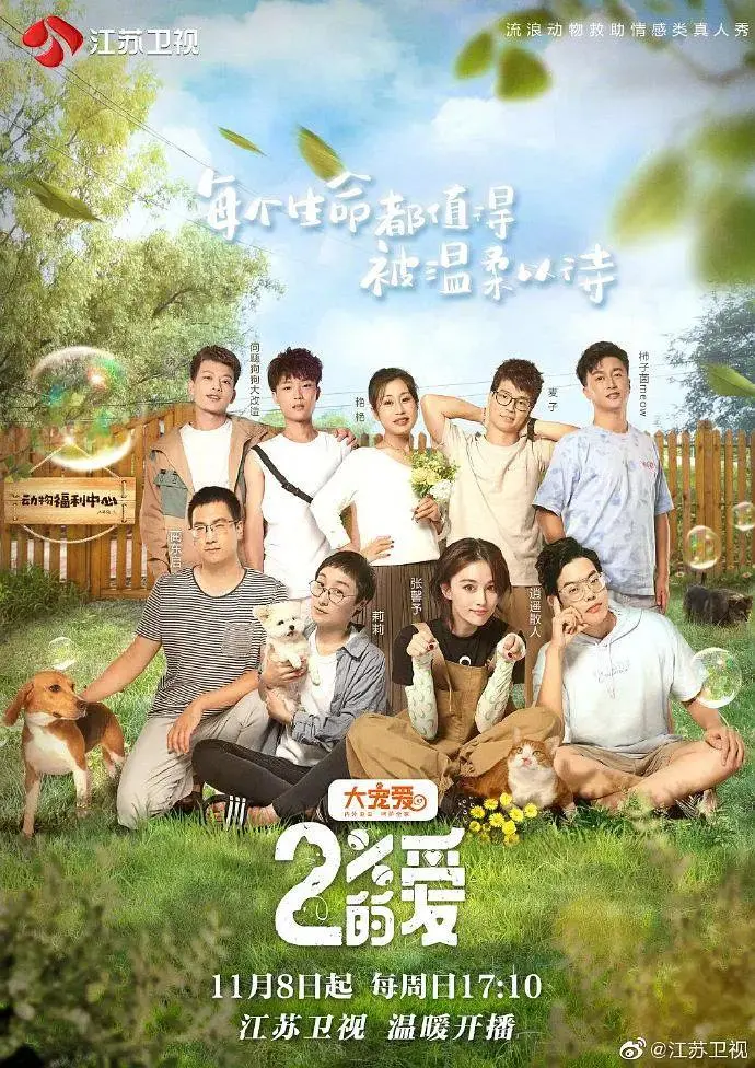 《百分之二的爱》全集高清完整版在线观看与剧情解析