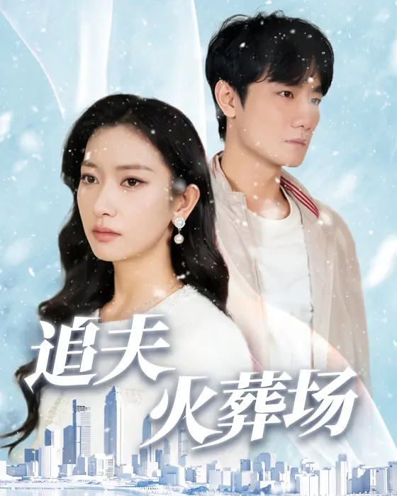 《追夫火葬场》全集高清完整版在线观看与剧情解析