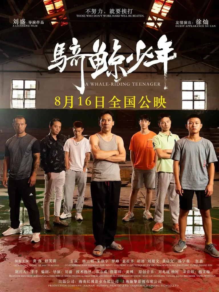 《骑鲸少年》全集高清完整版在线观看与剧情解析